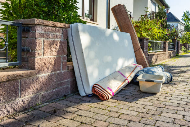 Best Yard Cleanup Services  in Madison, WI